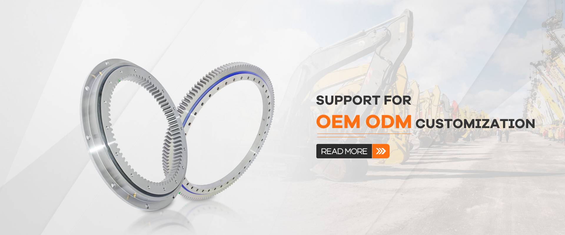 Support for OEM ODM customization