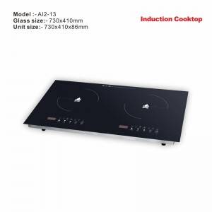 Amor 2020 new innovation AI2-13 remote controls hotpot Build in double burner for Europe market