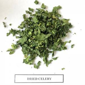 100% Natural Dehydrated/Dried AD Celery piece