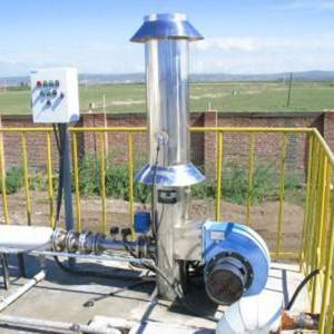 Biogas torch