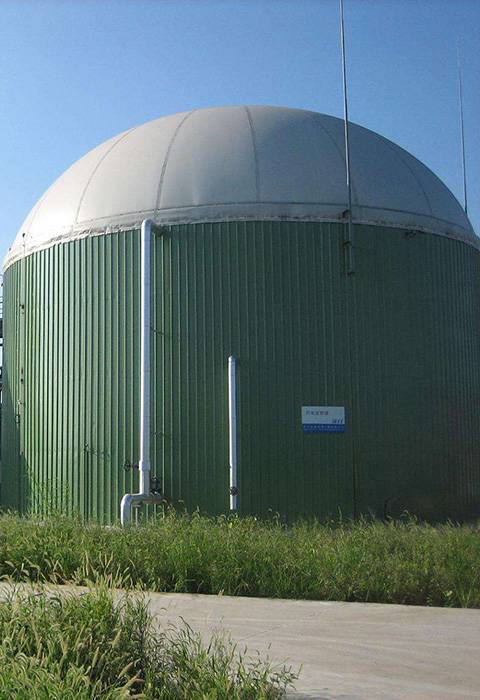 BIOGAS PROJECT