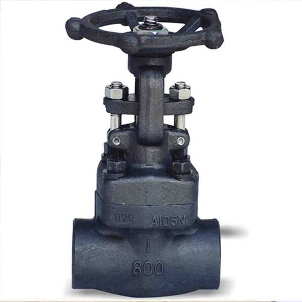 Forged steel gate valve Featured Image