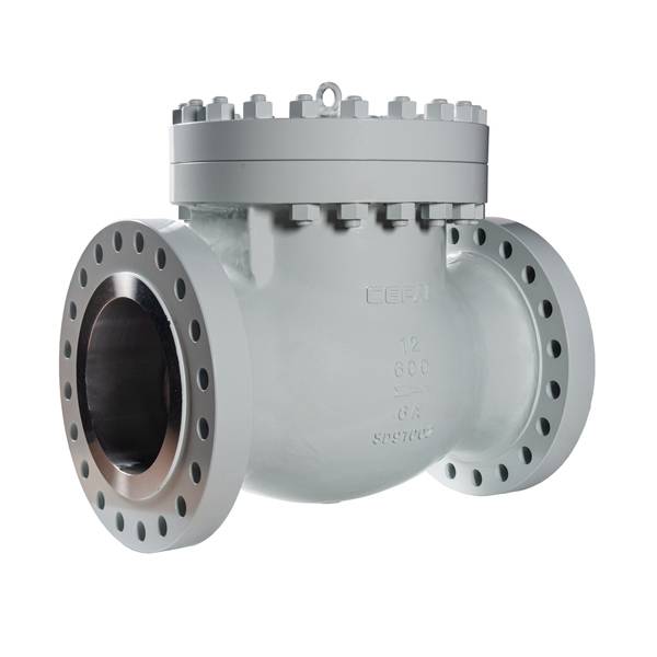 Cast steel swing check valve Featured Image