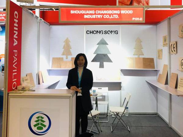 FRANCE International Building Materials Exhibition in 2018