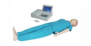 Advance CPR Training Manikin -LCD Display KM-TM102