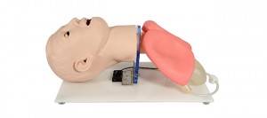 Advanced Medical Endotracheal Intubation Model   KM-TM109