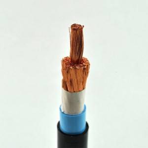 Fluoroplastic Cable