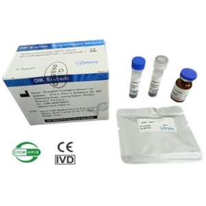 Novel Coronavirus (2019-nCoV) RT-PCR Detection Kit (Lyophilized)
