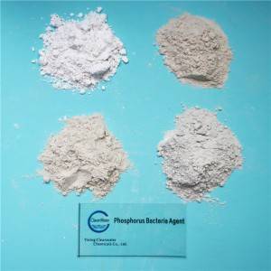 Phosphorus Bacteria Agent