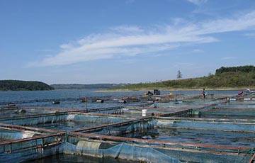 Other industries-aquaculture