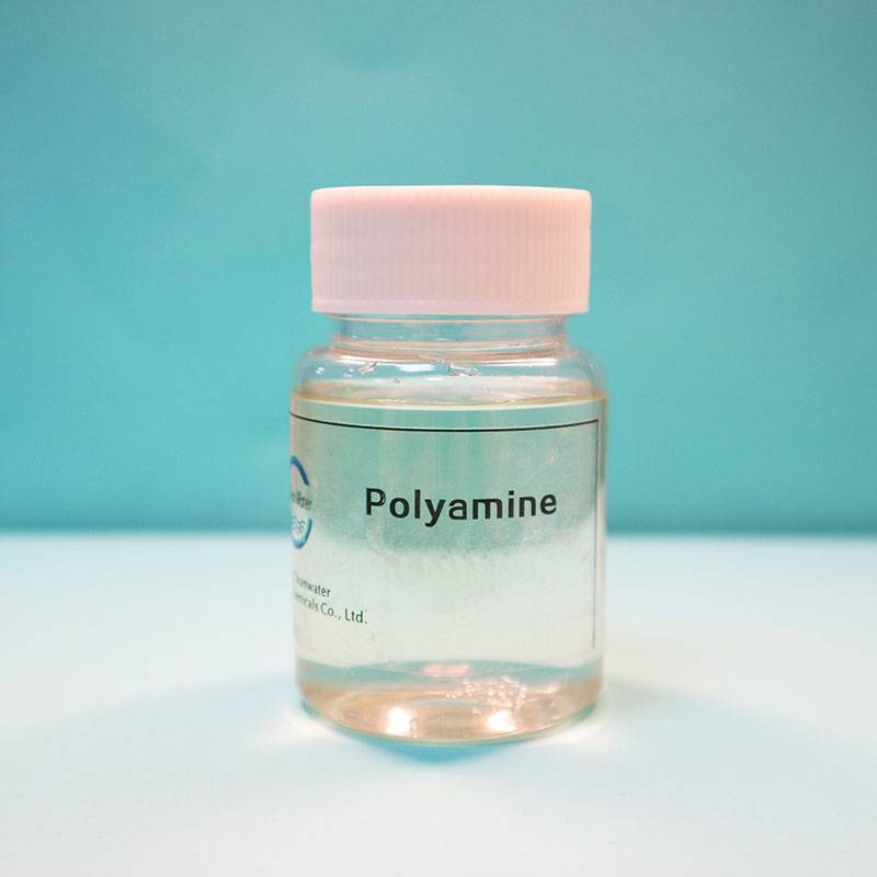 Polyamine Featured Image