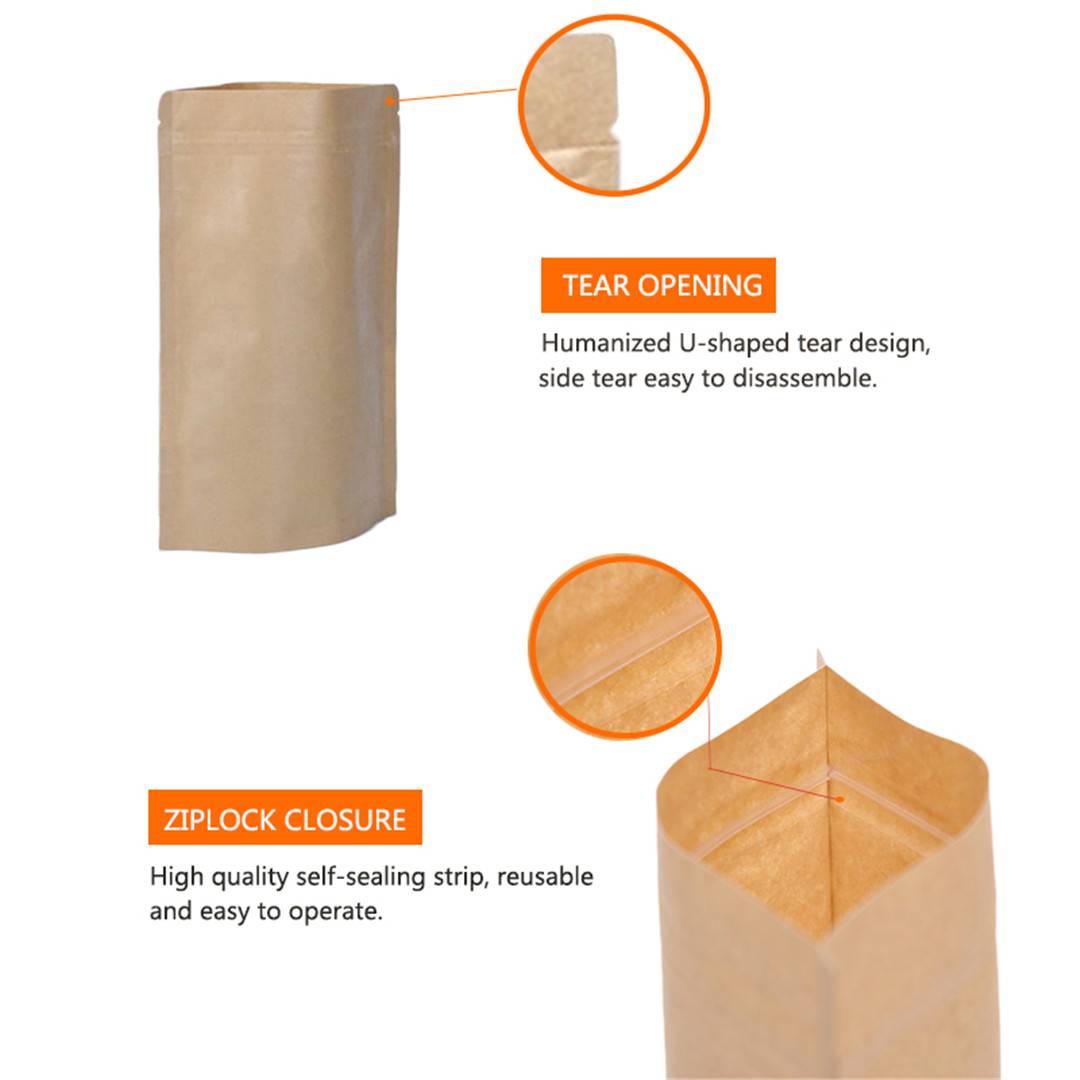 Kraft Paper Stand Up Pouch (3)