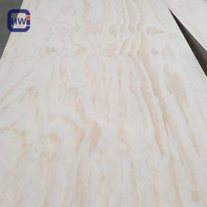 HW  Radiata Pine F/B Commercial  Plywood