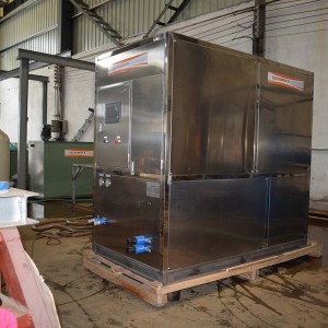 Low price for Ice Block Machine For Sale - industrial cube ice machine-2T – CENTURY SEA