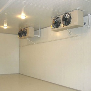 Factory For China Bitzer Condensing Unit Cold Room with Ce