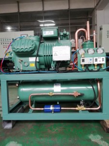 Bitzer compressor Blast freezer condensing unit 6GE-40 ለዝቅተኛ ክፍል ዝቅተኛ የሙቀት መጠን ማቀዝቀዣ ክፍል