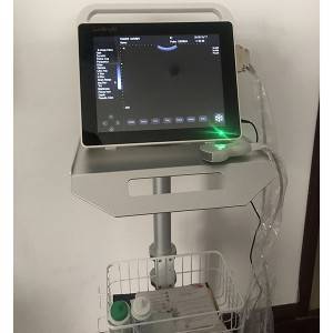 15  inches Touch Screen Laptop Ultrasound Sun-800S