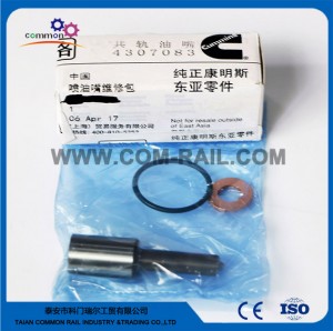 4307083 Nozzle repair kit for Cummins ISG injector 4307475