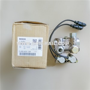 Original BOSCH new Dongfeng Renault auto parts 2469403126 include metering unit valve 0281002313,0281002314