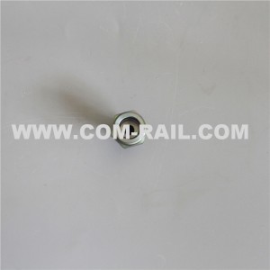 F00N202319 high pressure screw