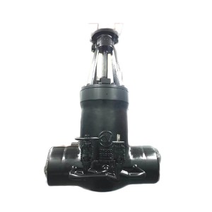 High-end gate valve for conventional island