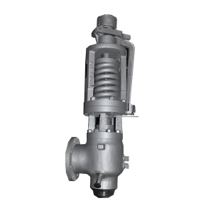Spring type safety valve