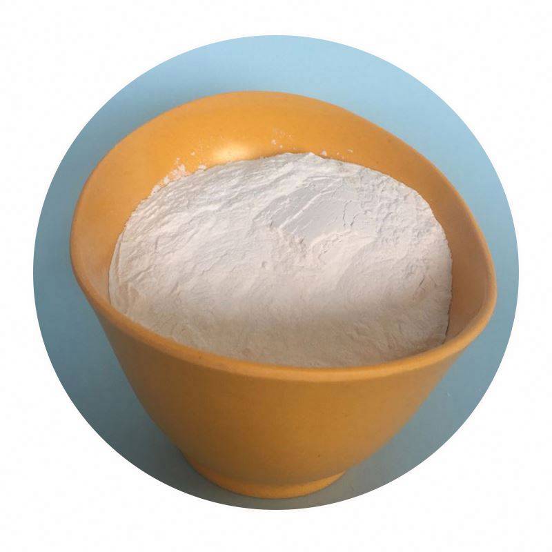 raw diatomite absorbent white powder
