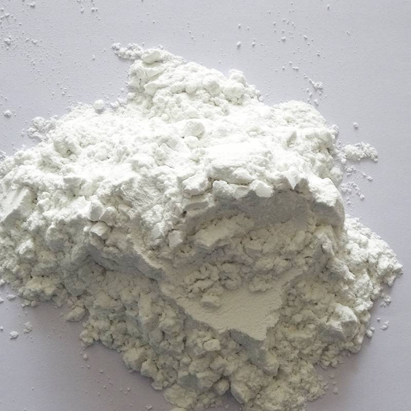 Food grade diatomaceous earth diatomite diatomite filler powder