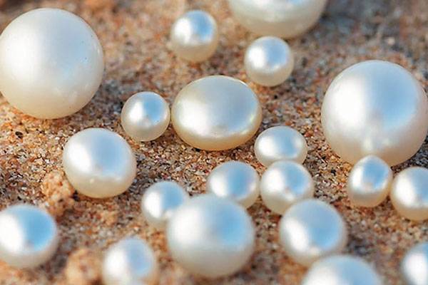 The shape of freshwater pearls