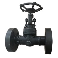 Forged steel 800LBS welded flanged Gate Valve GVF-00800-WF