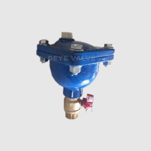 Air release valve with isolation valve A-F-01