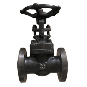 Forged flanged integrated Gate Valve GVF-00150-F