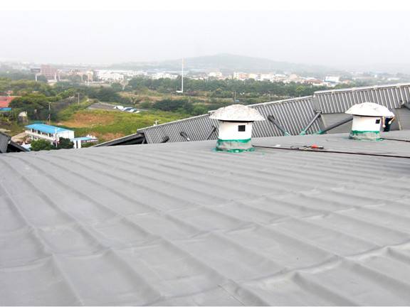 Building & Roofing