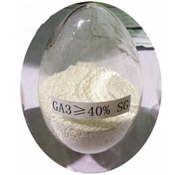 Gibberellic Acid( GA3)