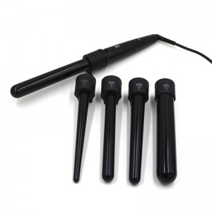 5 in 1 new professional hair curler Electric hair curler set
