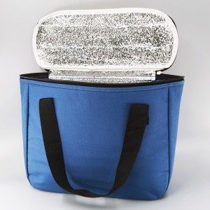 Cooler Bag cl19-05