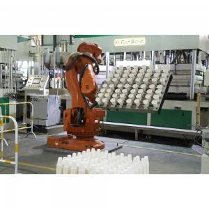 SD-P09 Free Punching Free Trimming Fully Automatic Pulp Molded Tableware Machine