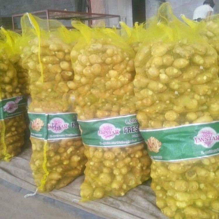 New crop Chinese fresh ginger from professional factory