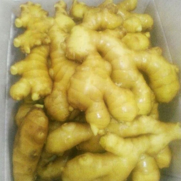 Wholesale organic fresh ginger price from China newest crop