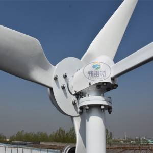 FLTXNY 2kw Horizontal Wind Turbine Generator 48v 96v 120v 230v With 2000w Grid Tie MPPT Inverter Bult in WIFI Limiter