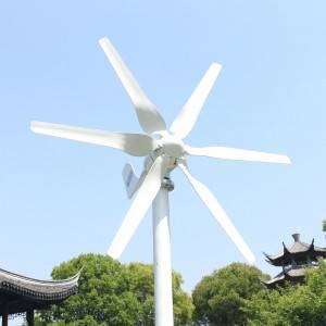 800w 12v 24v New Developed Wind Turbine Generator With 6 Blades Free Controller For Home Roof