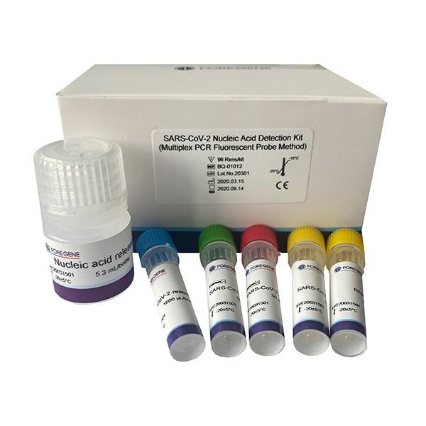 2019-nCOV Nucleic acid detection kit (multiplex PCR fluorescent probe method)