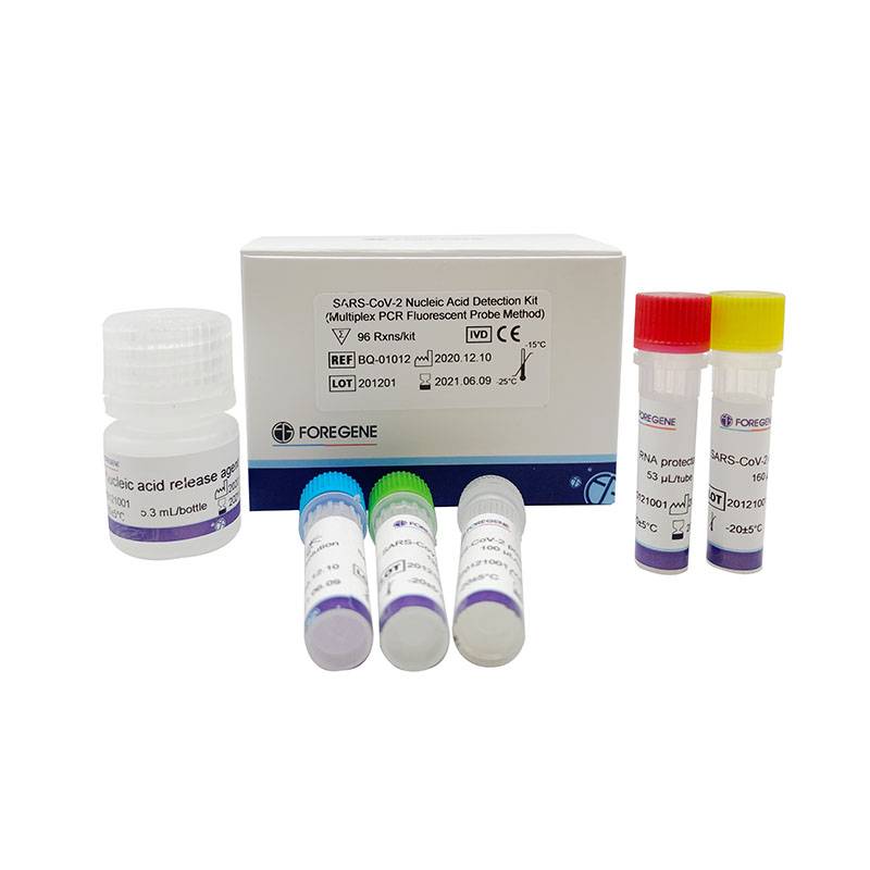 SARS-CoV-2 Nucleic Acid Detection Kit (Multiplex PCR Fluorescent Probe Method) Featured Image