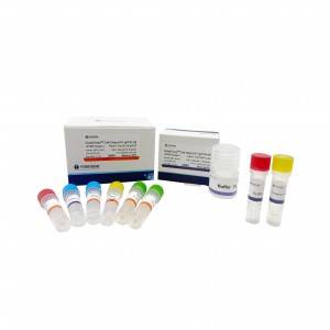 Cell Direct RT qPCR Kit