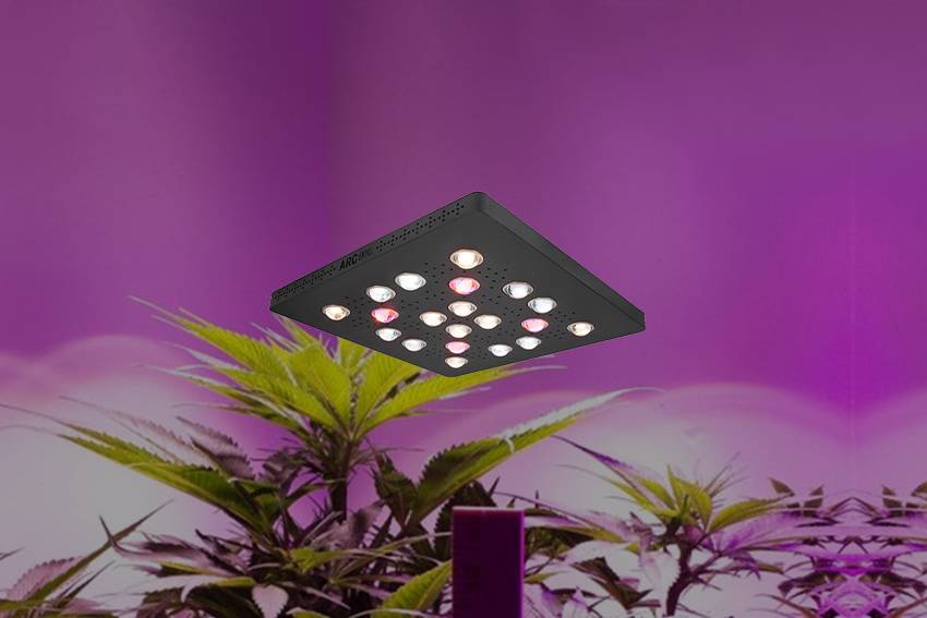 Most powerful COB plus UV module, Max your yield meanwhile improve the THC purity!