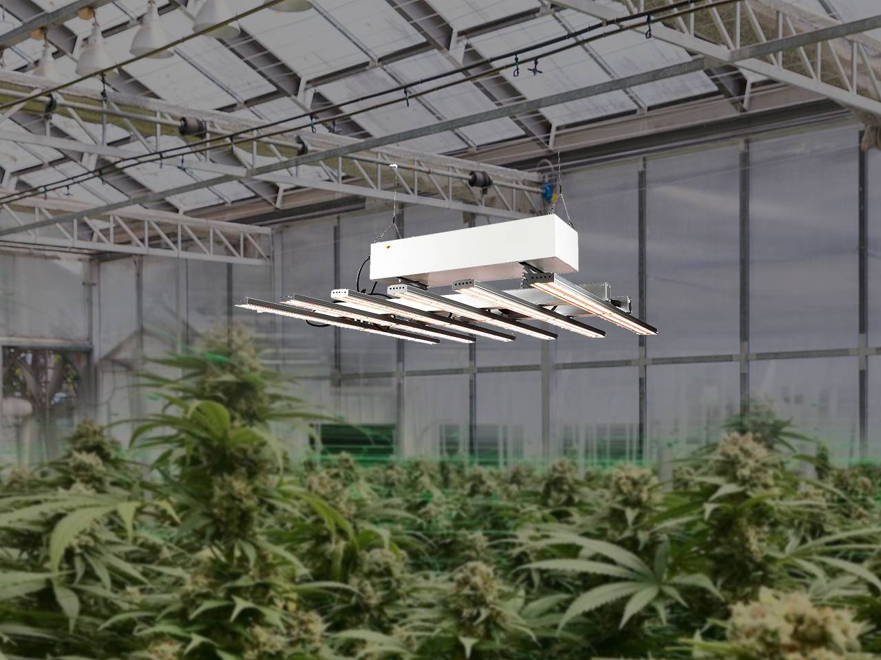 Automatically up and down, intelligent plant cultivation!