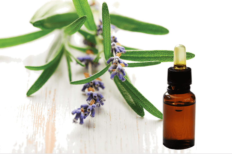 Rosemary essential oil Featured Image