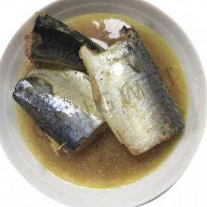 Canned mackerel in oil/in brine/in tomato sauce
