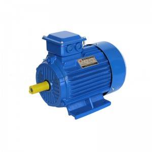 IE2 SERIES THREE PHASE INDUCTION MOTOR