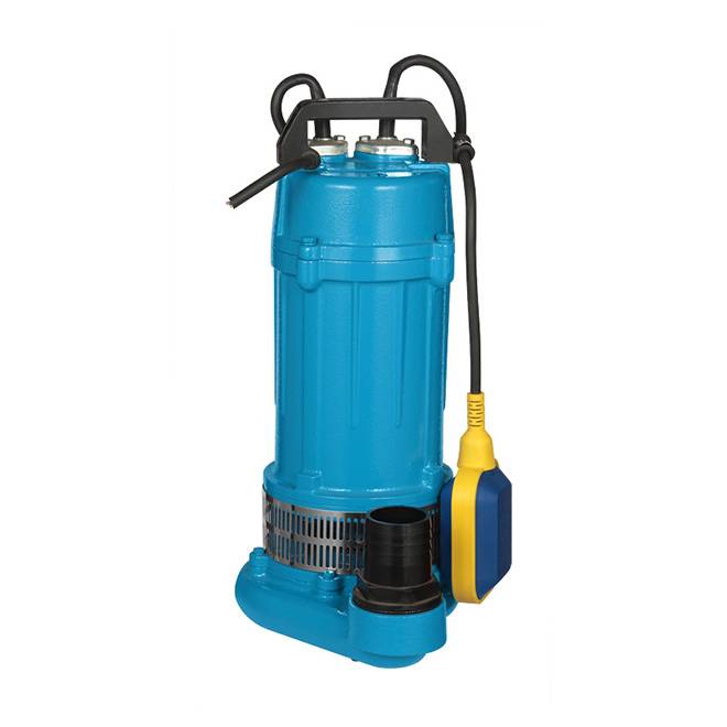 QDX-T QDX Electric Submersible Water Pumps For farm 0.25kw 0.37kw 0.55kw,1.1kw,1.5kw,2.2kw 3kw 1inch 2inch 3inch 4inch 5inch 220V 380V 50Hz 60Hz Big flow